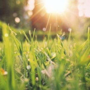 Meet your Posher, Doraalicia